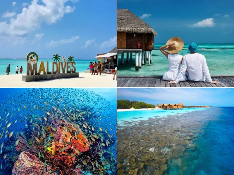 giai-dap-maldives-o-dau-11133