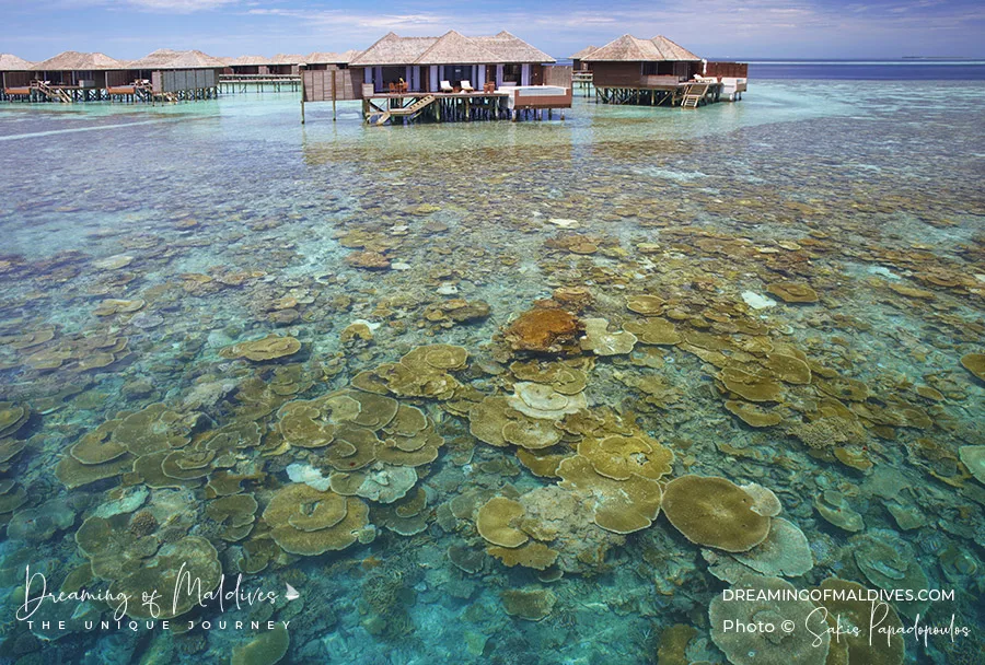 giai-dap-maldives-o-dau-00012